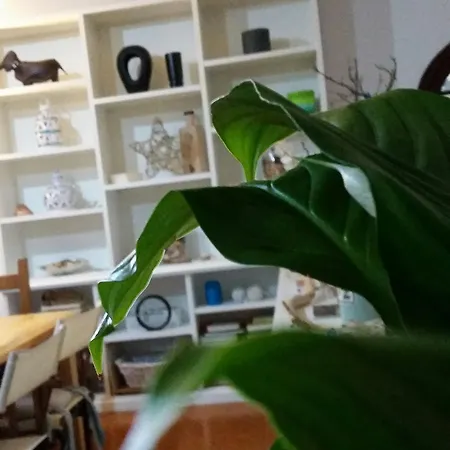 Oltremare Circeo * 산펠리체치르체오